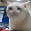 @memesheem