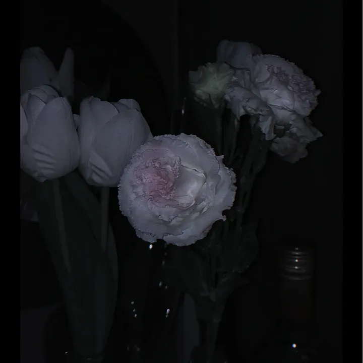xtiw.flower