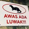 sudahhhsembuhhhh
