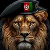 najib.walizada