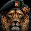 @najib.walizada