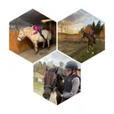 @equestrian_sweden_