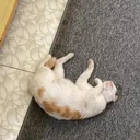 @user01_03d
