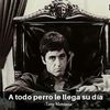 el.chimadoresmiapodoloco