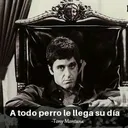 @el.chimadoresmiapodoloco