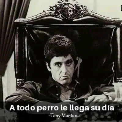 @el.chimadoresmiapodoloco