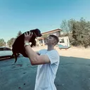 @dmrcmetehan0
