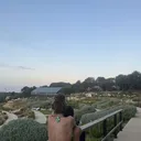 @ella..ojaimi