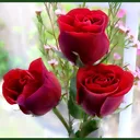 @shwetalata143