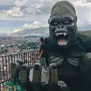 @luis_.ber