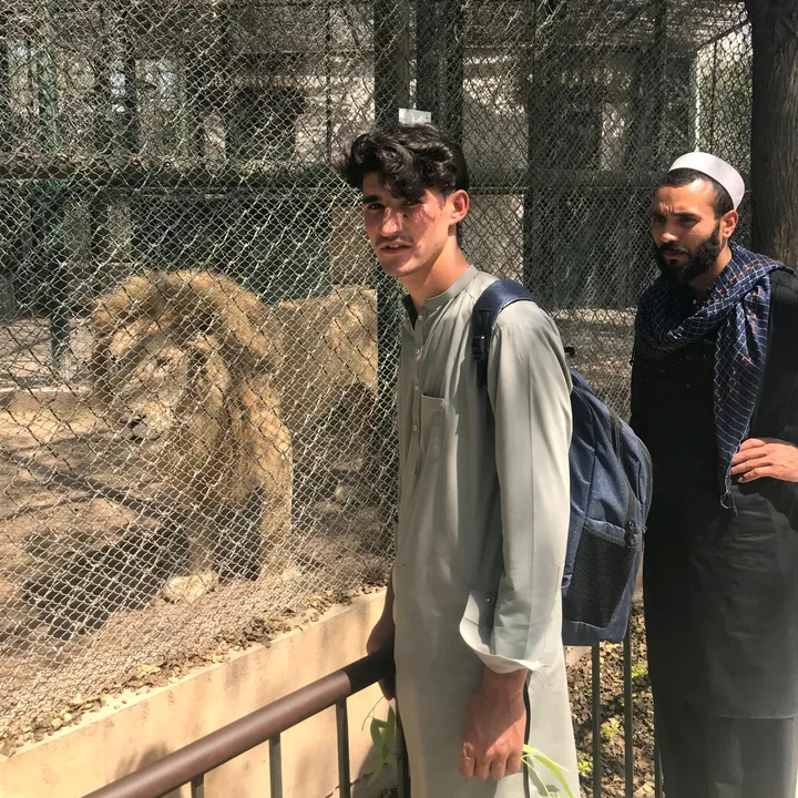 saadsalmani56