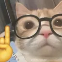 @user2510531