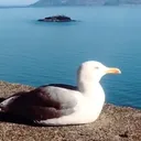 @kaybolan.yillar28