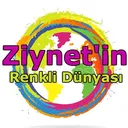 @zinetinrenklidunyasi