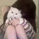 @nyash_history