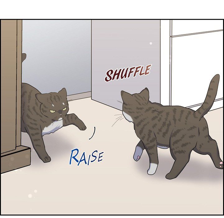 Lovers, Cats, and the Killer - episode 42 - 124