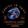 the_tropical_land