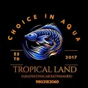 @the_tropical_land