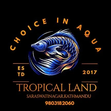 the_tropical_land