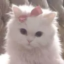 @fate_43_my