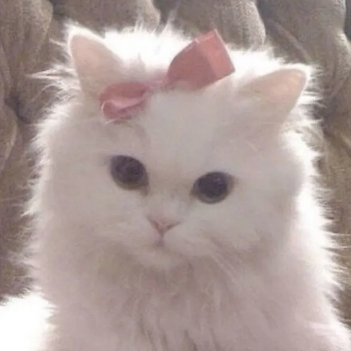 @fate_43_my