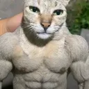 @verrdy_1210