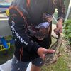 fishing_gang7