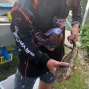 @fishing_gang7