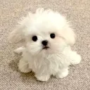 @jooha_1212