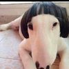 betamoggadaa