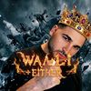 waliedithor