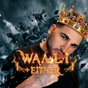 @waliedithor
