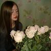 aliskabep.18