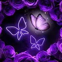 @hoshi42692