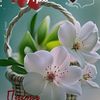 almagul4841