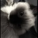 @wiwiwiwiwiwiwiwiwiwi05