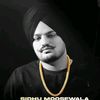 sidhumoosewala.50