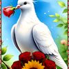 flor_aleli07