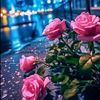 quiet_songs_world