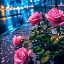 @quiet_songs_world