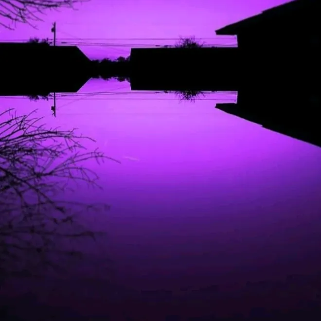 owami.moyo