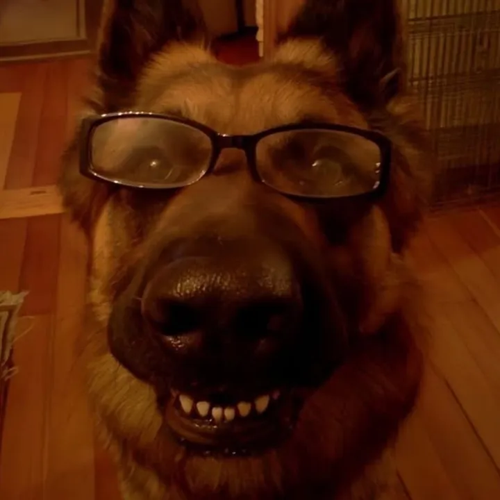 caffeinemutt_