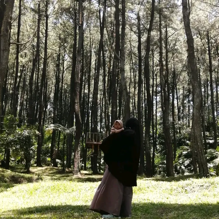 nita.widya