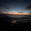 adam_romaanov