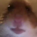 @g.a.tgoogletricks