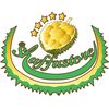 shaffastore