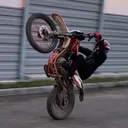 @darexovod300