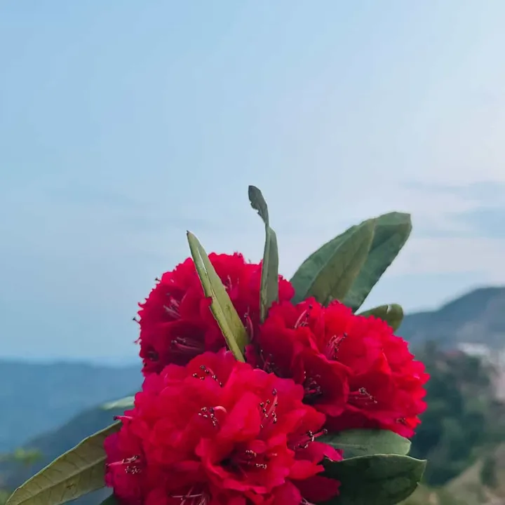 beautyofnepal01