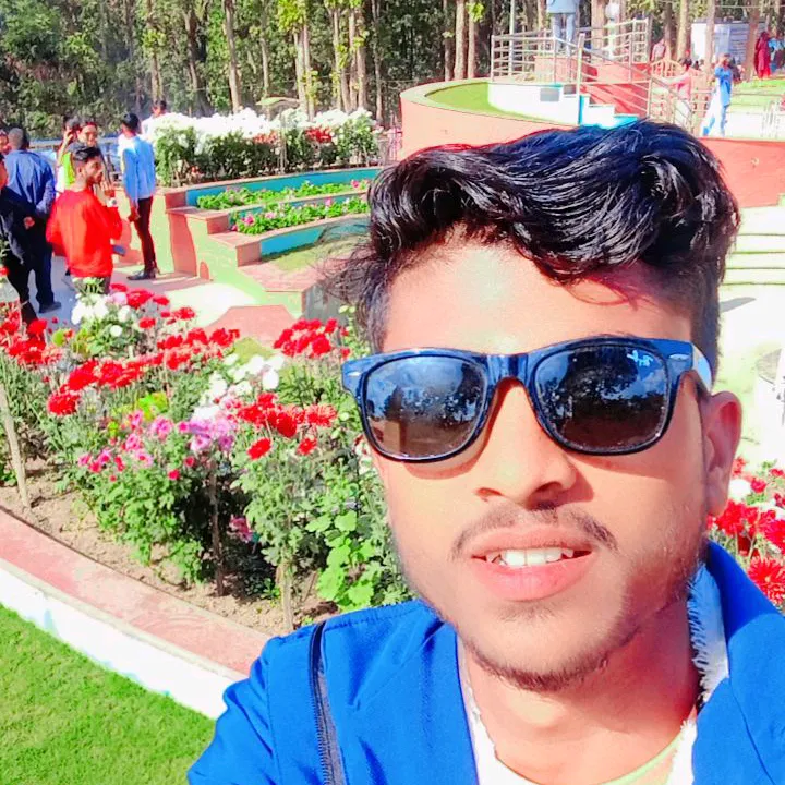 @mukeshsingh2441