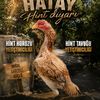 hatayhintcilik